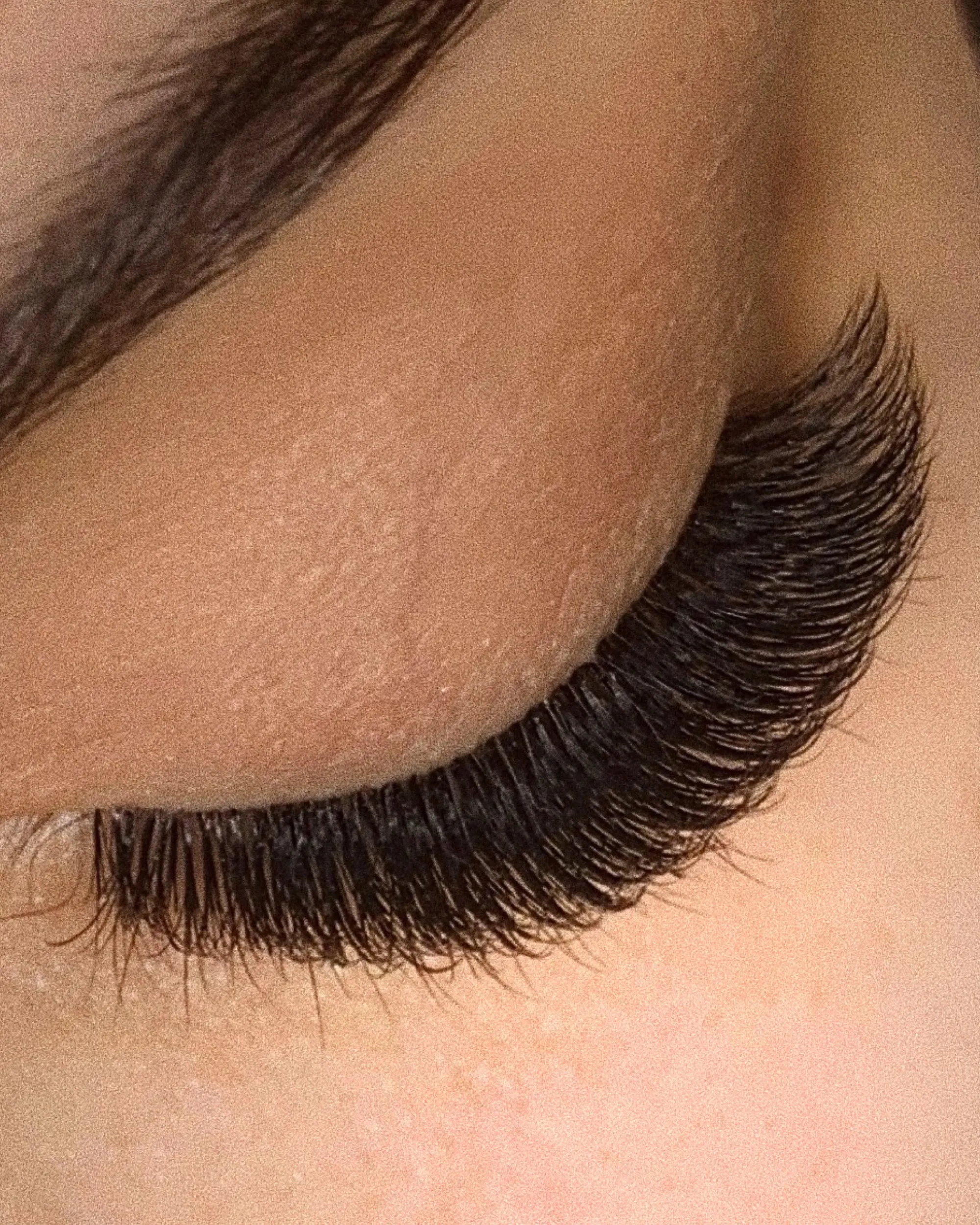 C-Curl Plush Lashes (Single-Length Trays)