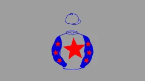 C P S Syndicate Big Silks