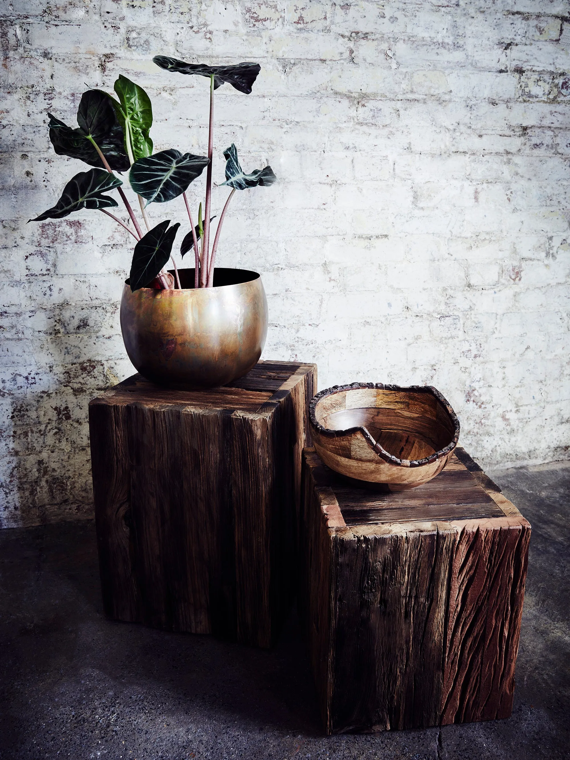 Dikita Mango Wood Bowl