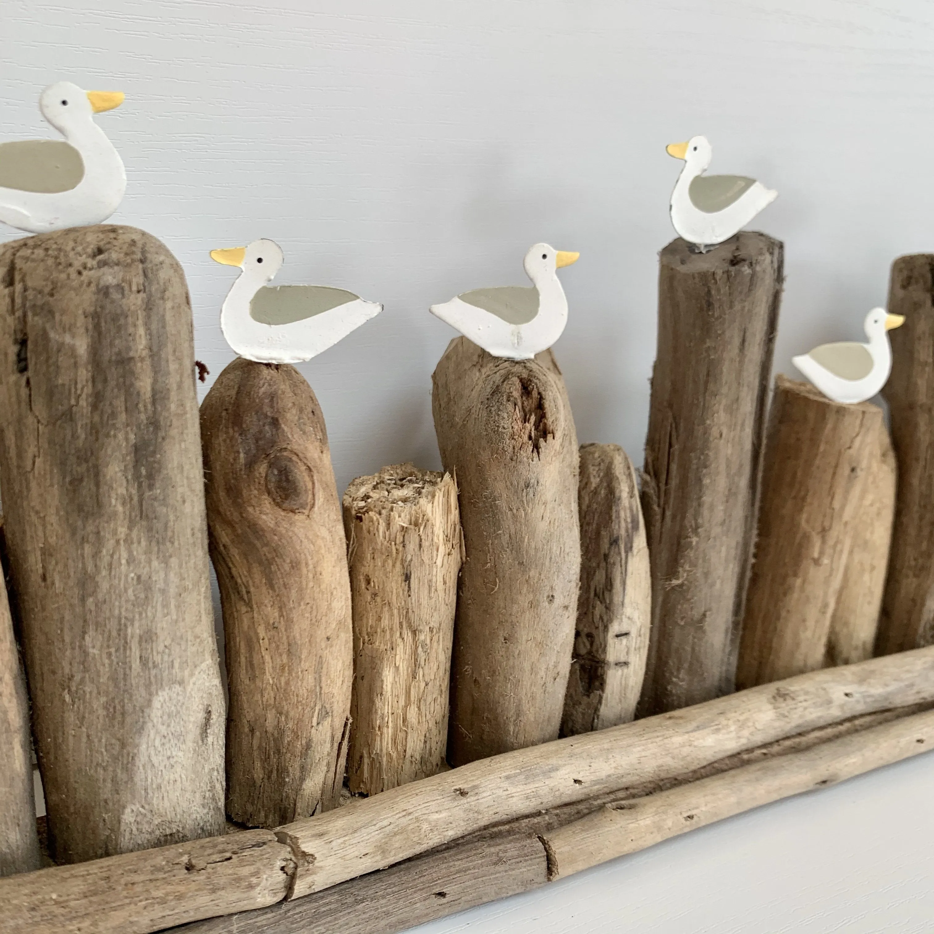 Long Seagulls on Groyne