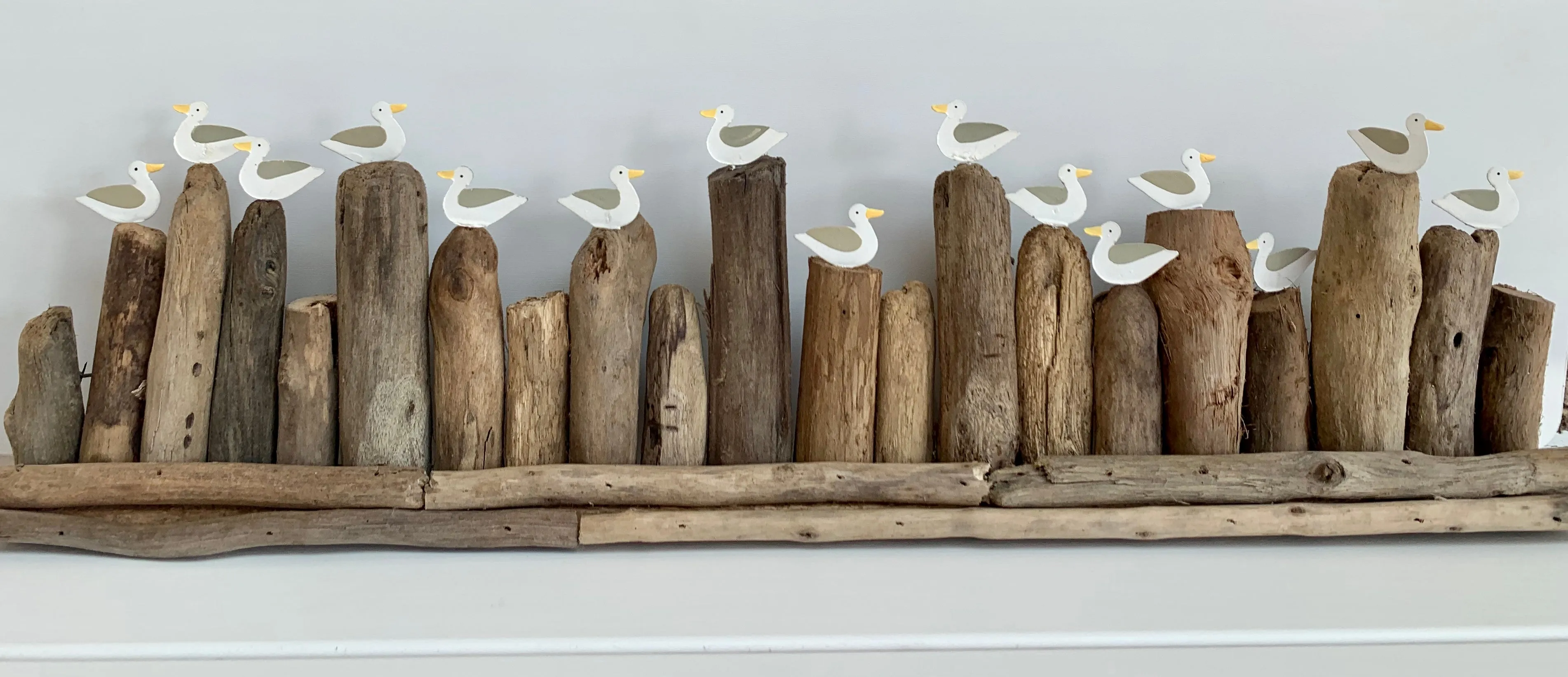 Long Seagulls on Groyne