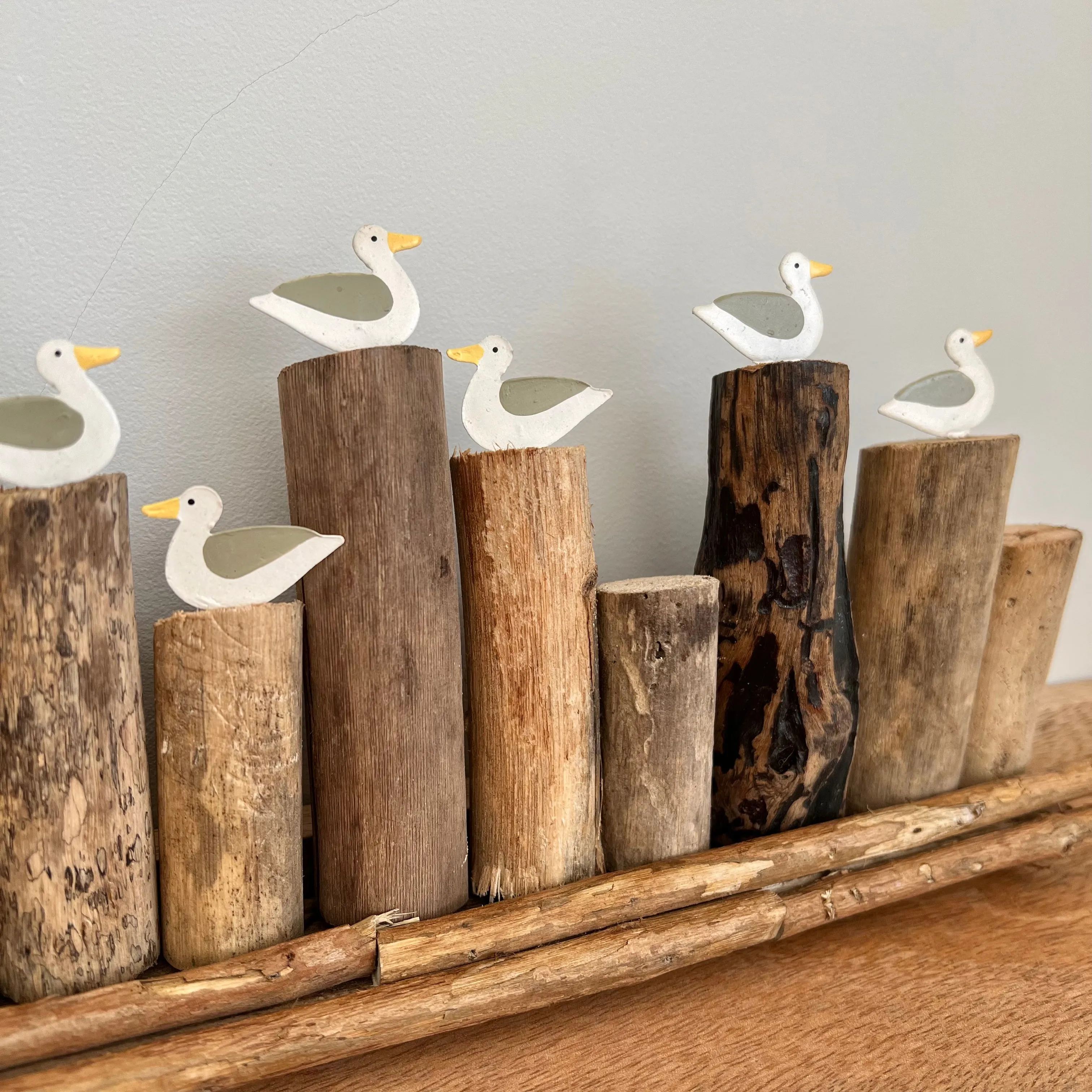 Long Seagulls on Groyne