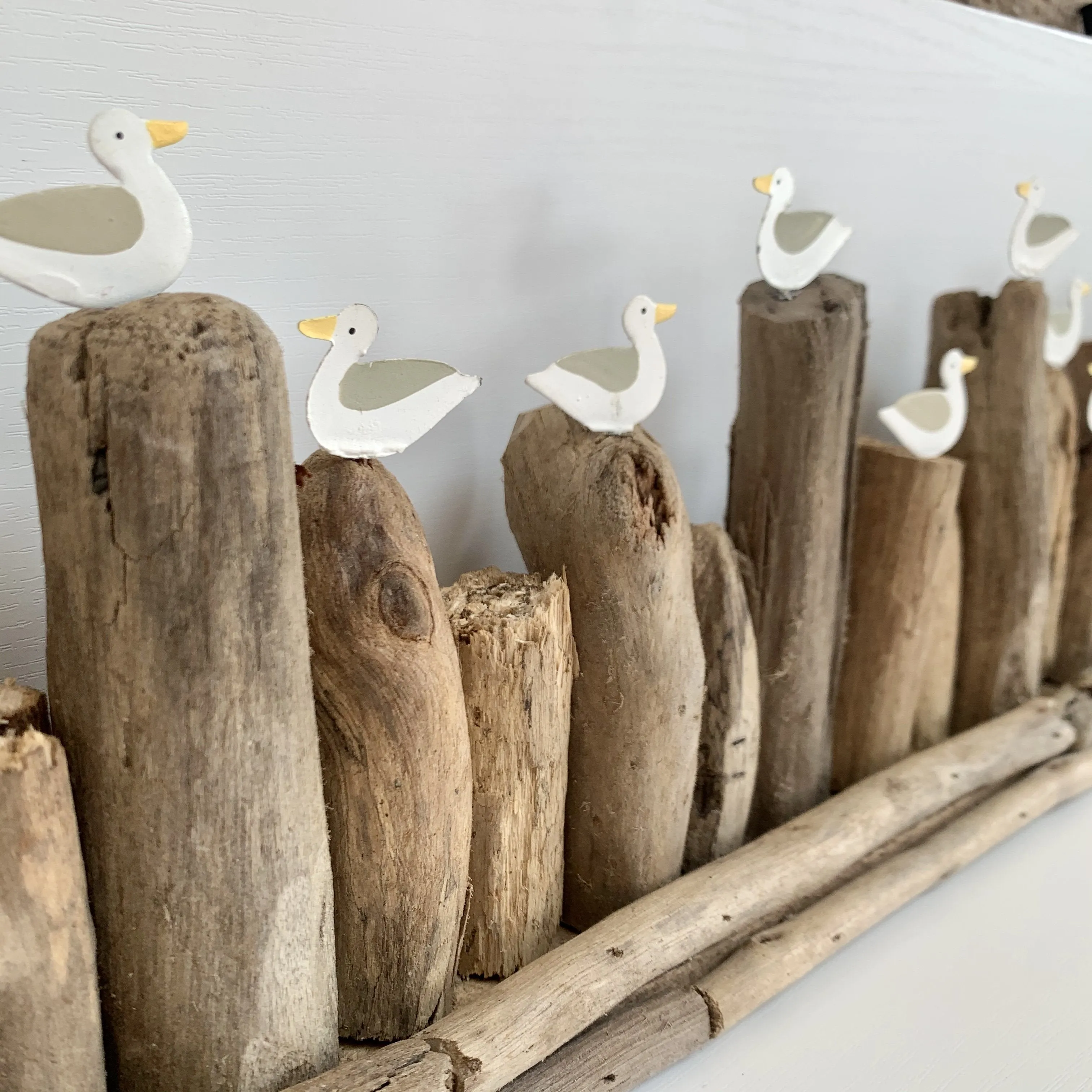 Long Seagulls on Groyne