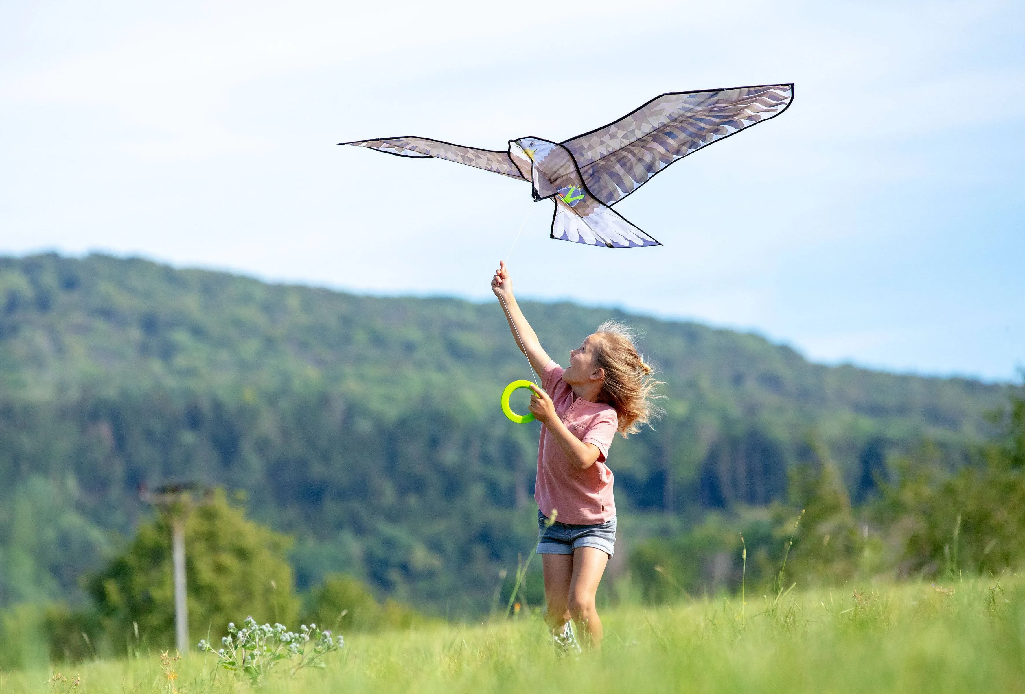 Terra Kids Bald Eagle Kite