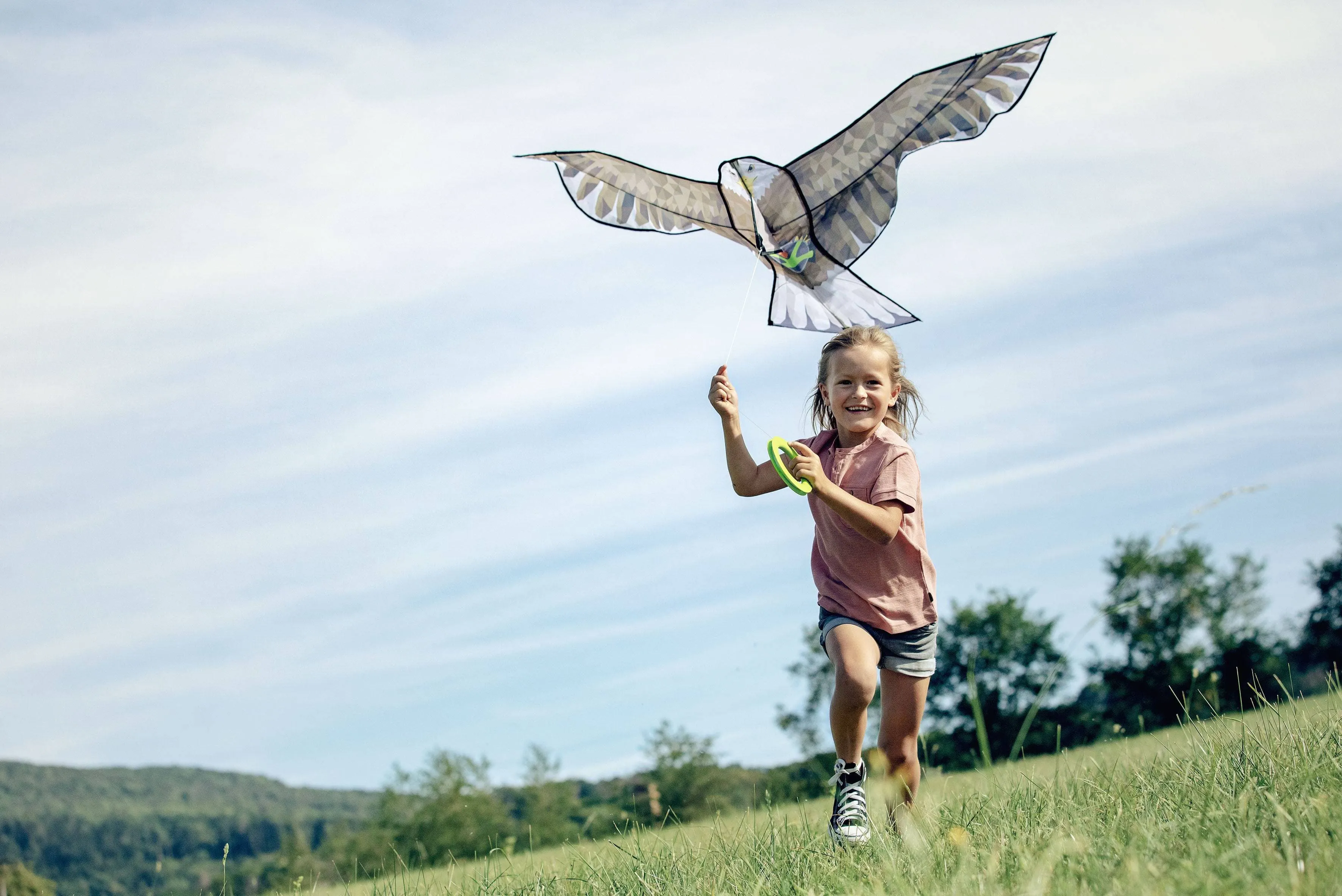 Terra Kids Bald Eagle Kite