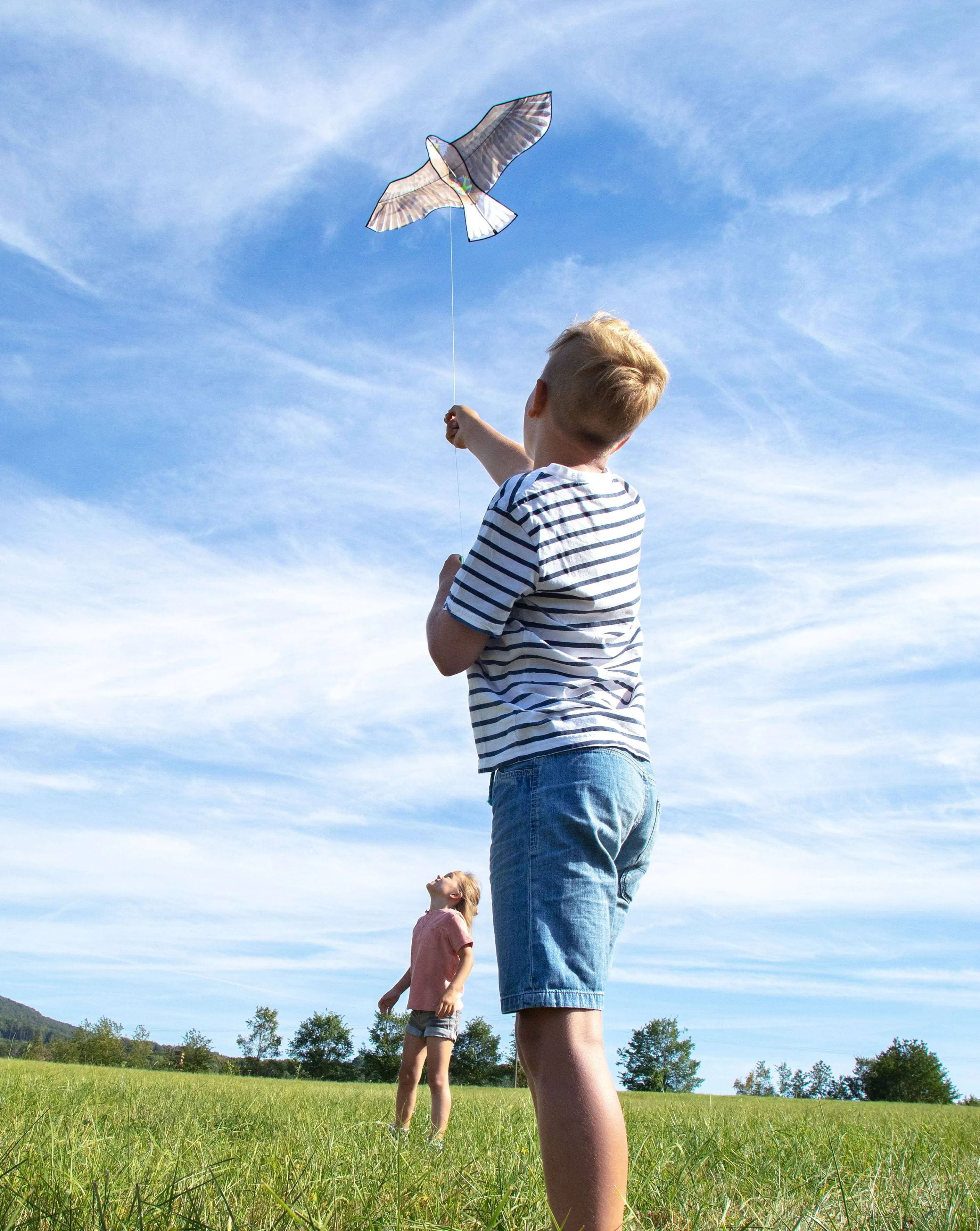 Terra Kids Bald Eagle Kite