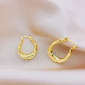 Women's Fashion Hollow Hoop Earring